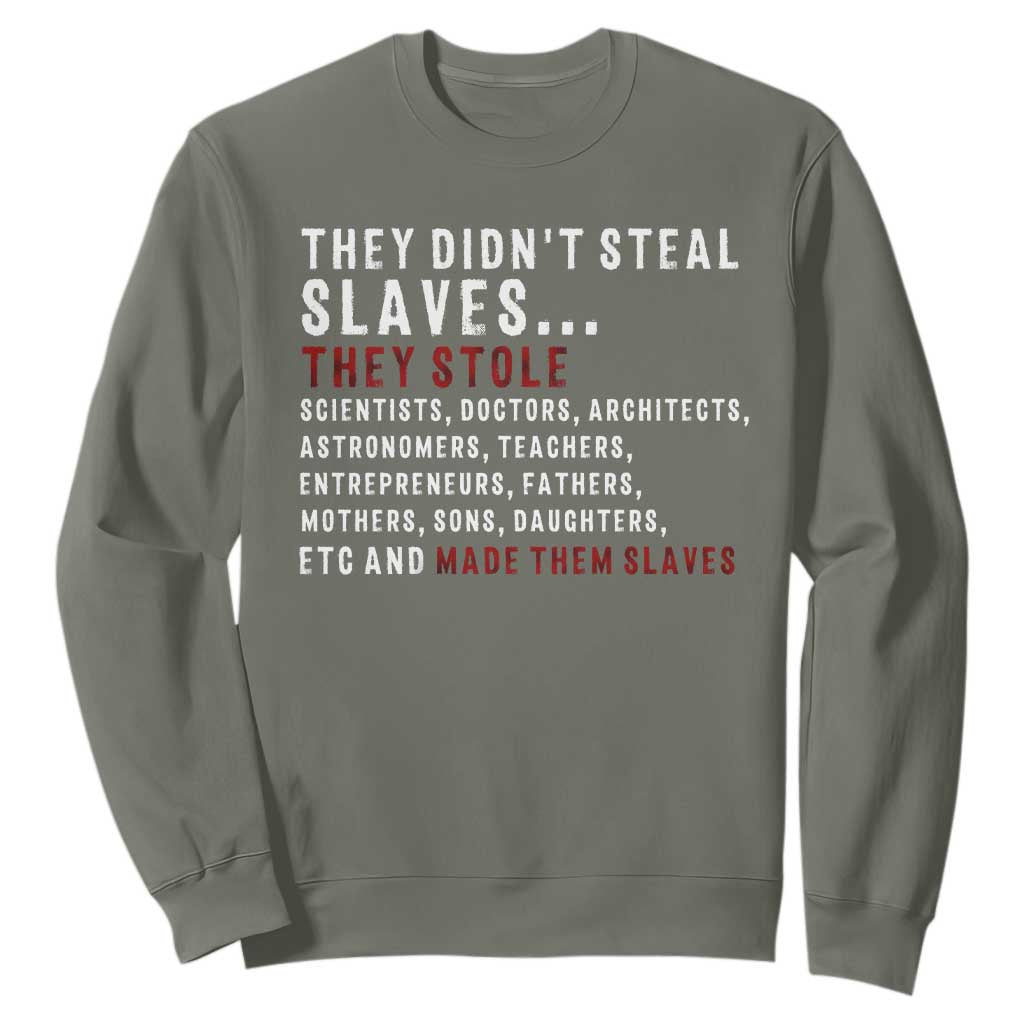 Black History Sweatshirt They Didn't Steal Slaves They Stolen And Made Them Slaves TS09