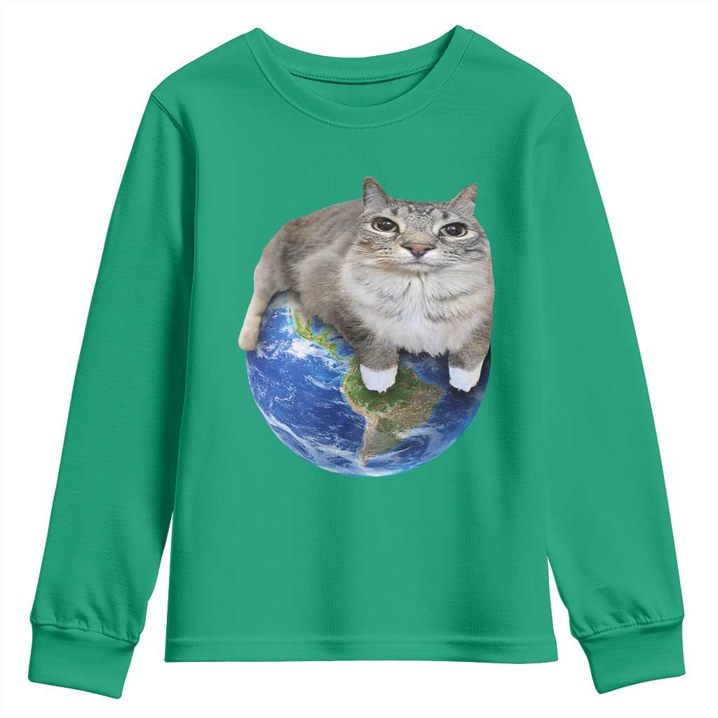 Earth Cat Silly Cat Meme Youth Sweatshirt