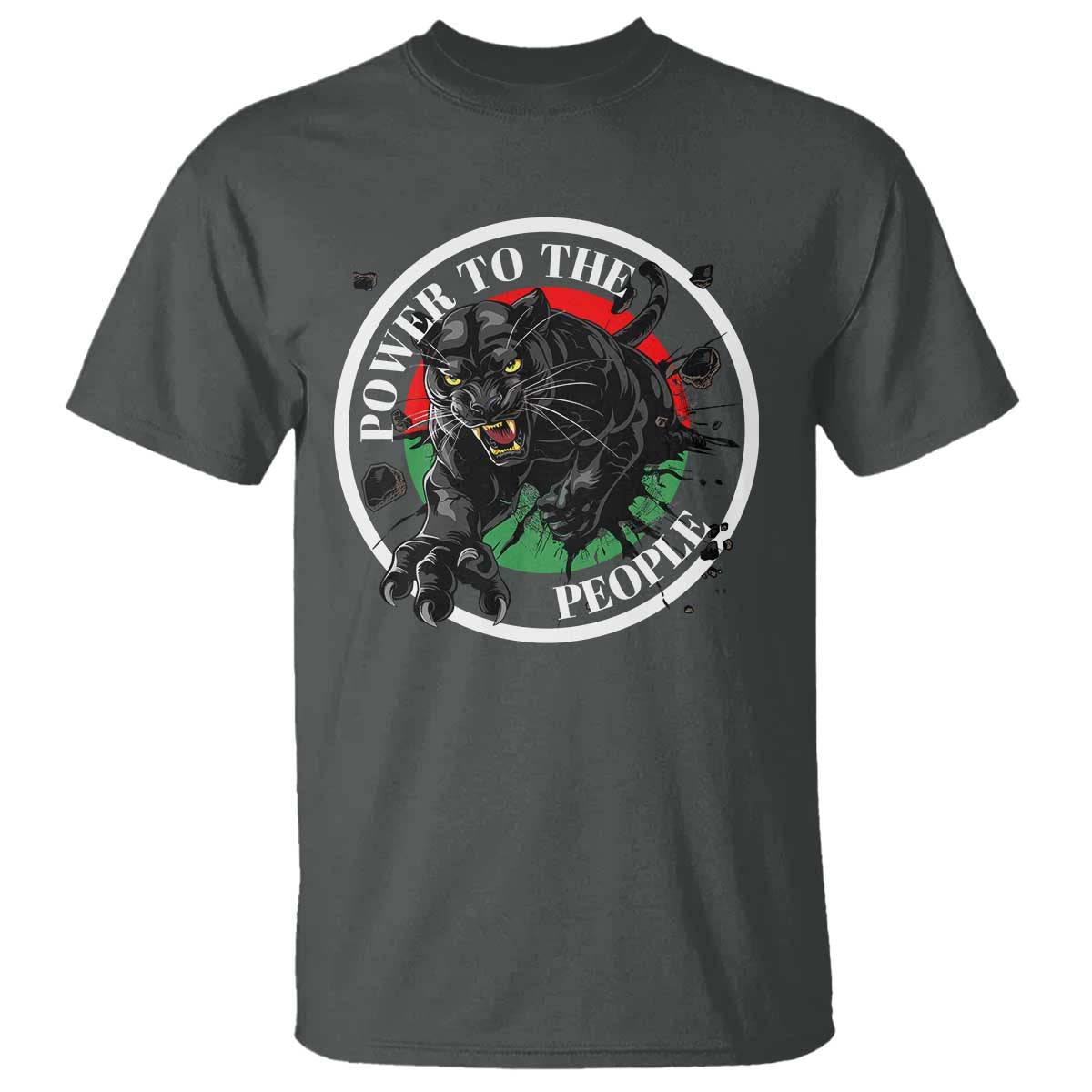 Power To The People Black Panther Party T Shirt Proud Black History Month